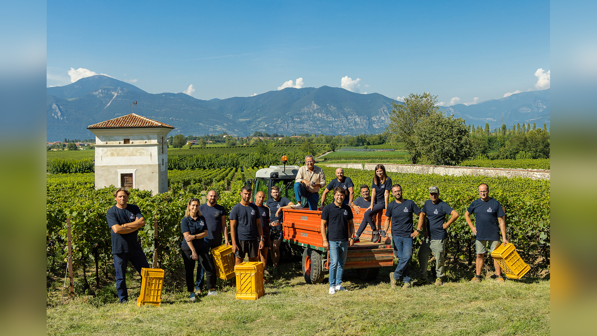 Fa caldo? In Franciacorta la vendemmia è notturna