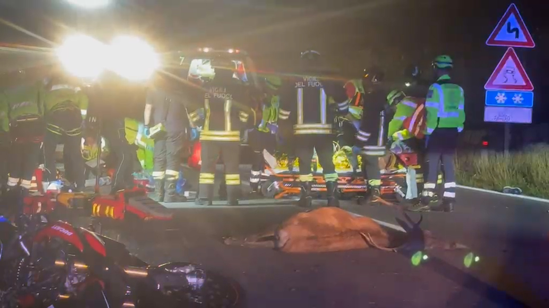 In moto contro un cervo, gravi due coniugi di Rogno