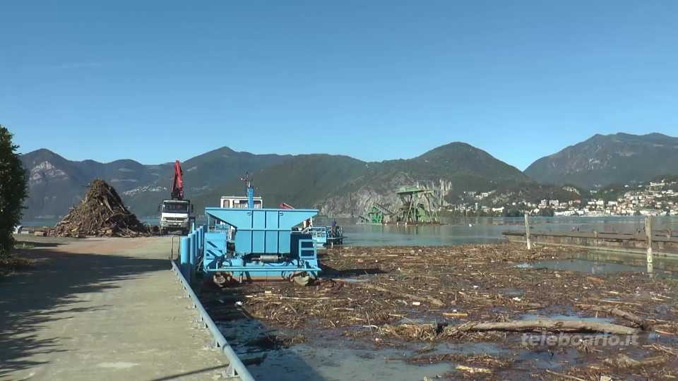 Costa Volpino: si lavora per ripulire il lago dai tronchi portati dal fiume