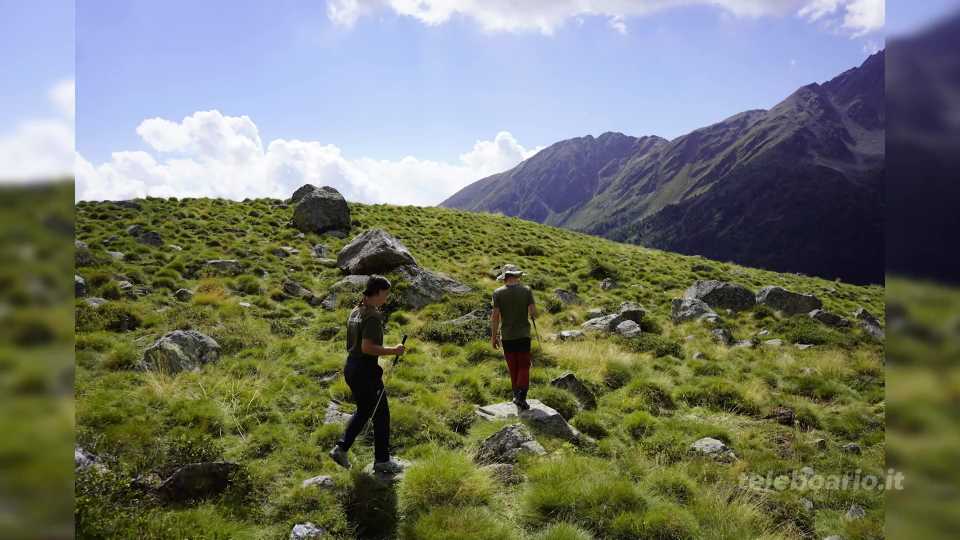 Erpetofauna nel Parco dello Stelvio