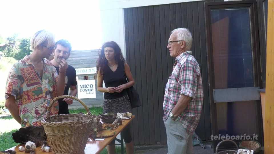 Festival Micocosmo a Cevo: conoscere meglio i funghi