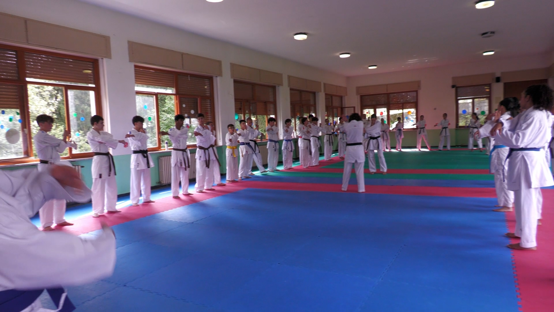Allenamenti di karate con atleti e tecnici internazionali