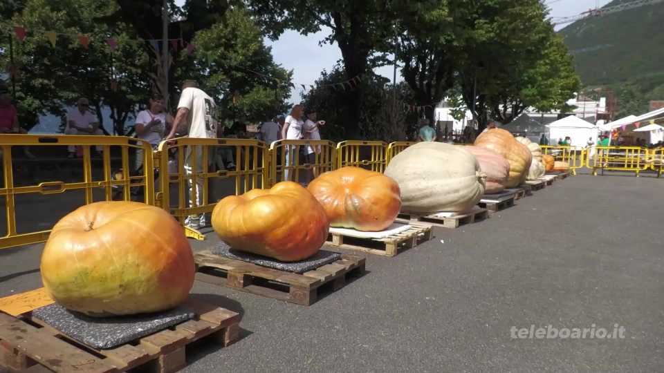 Sale Marasino, torna la festa della zucca