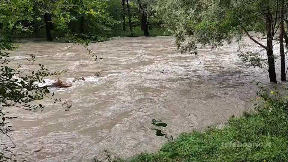 Maltempo, tanta pioggia, pochi danni