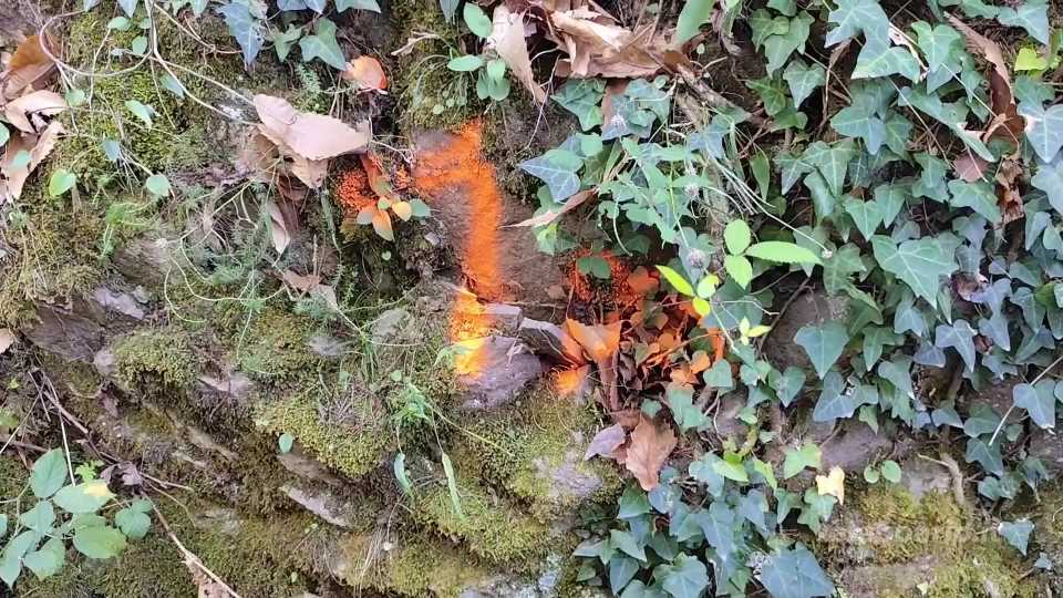 Al via i lavori per la strada di Mora, sarà pronta entro l’inverno