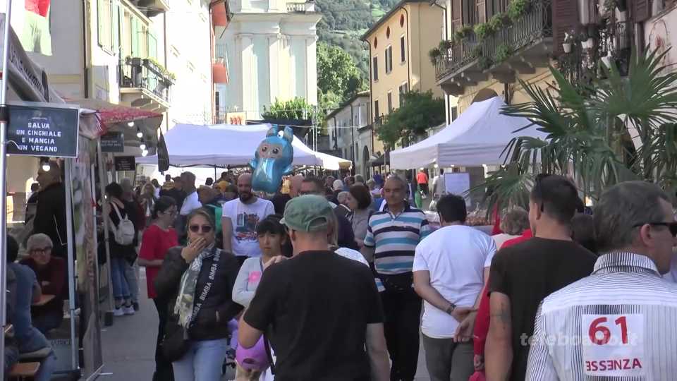 Nel week end la 76esima Festa del Fungo e della Castagna