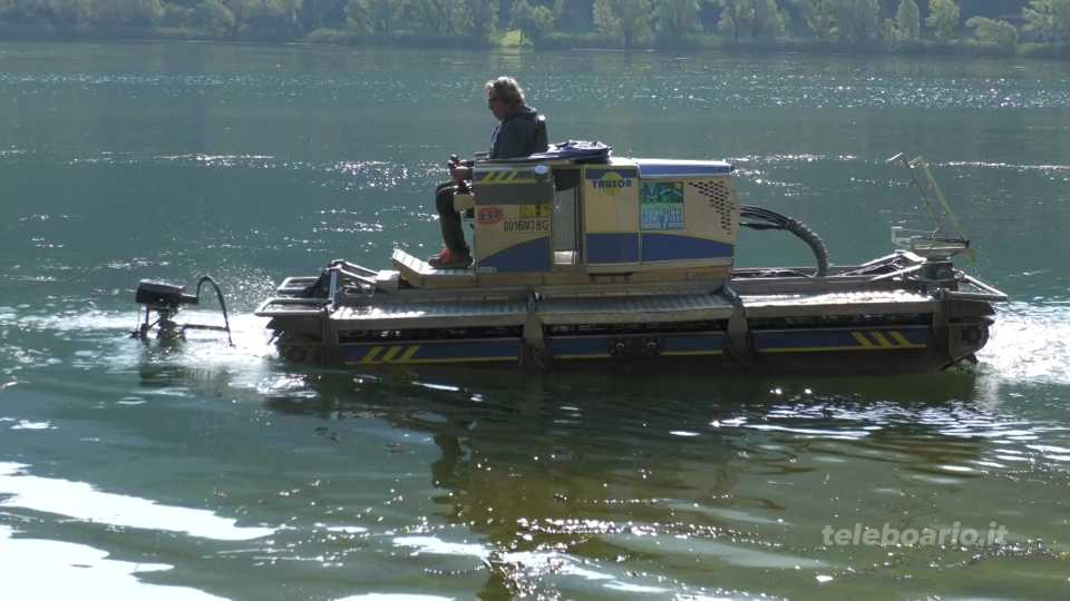 Nuovo taglio delle piante acquatiche per evitare che il lago diventi una palude