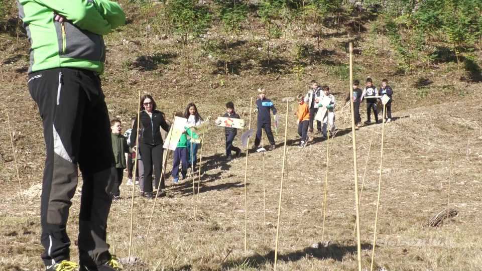 Erbanno: aula verde per i bambini della primaria con Auser Ambiente e gruppo Fedabo