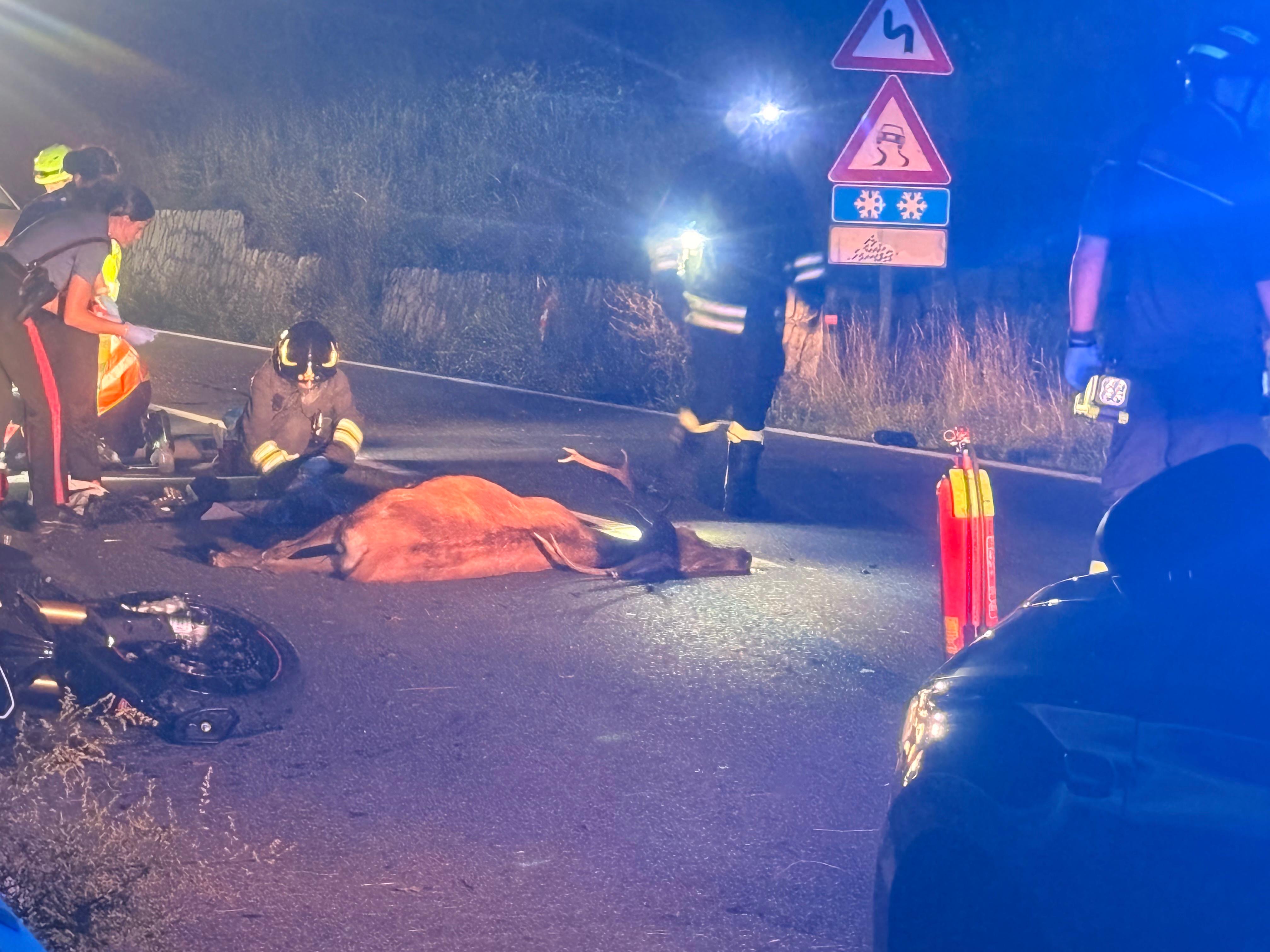 Grave incidente sulla SS 42 in territorio di Monno